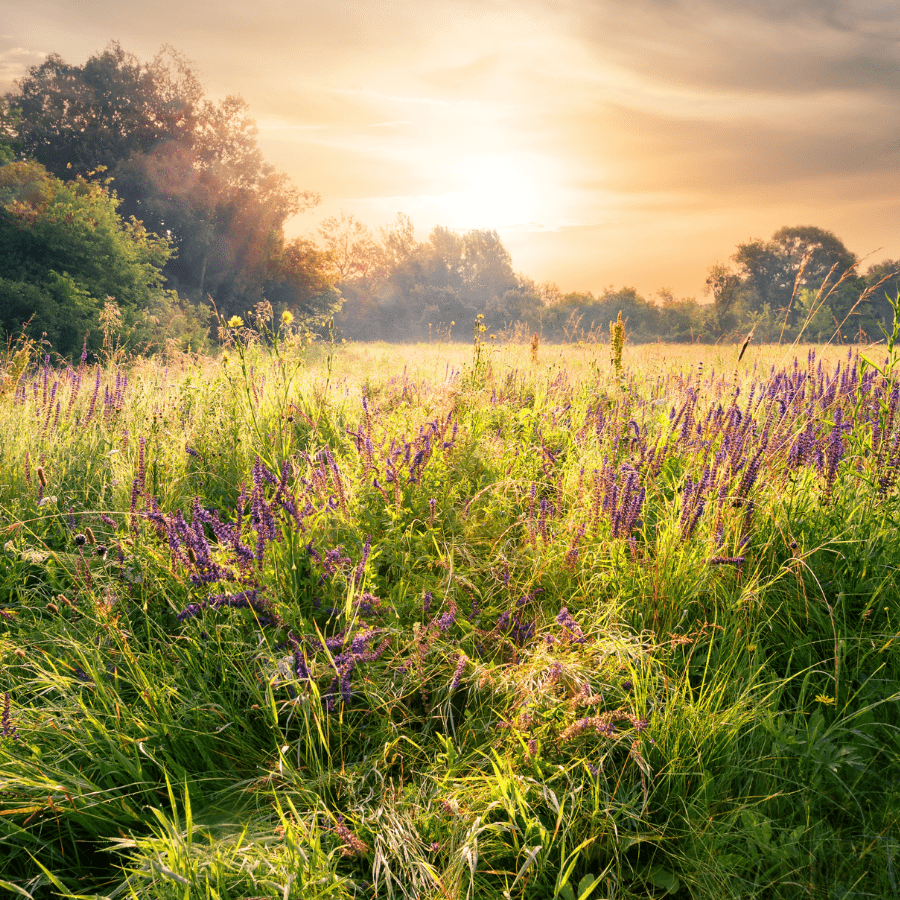 Summer Sun Tips for Travel Nurses