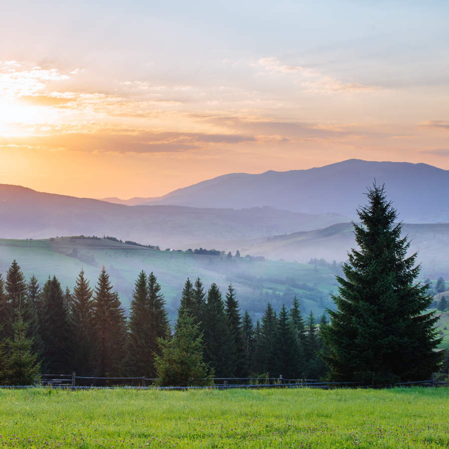 Your May Game Plan: How to Set Yourself Up for a Strong Summer Travel Assignment