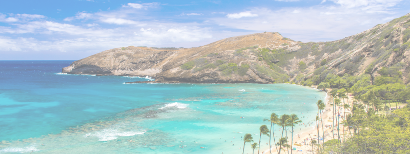 Experience as a Travel Nurse