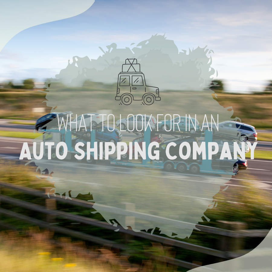 What to Look for in an Auto Shipping Company