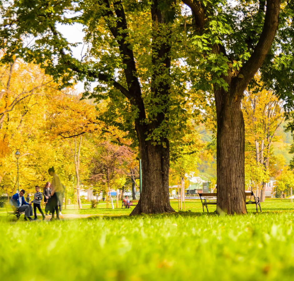 6 Great Parks to Visit this Summer for Travel Nurses