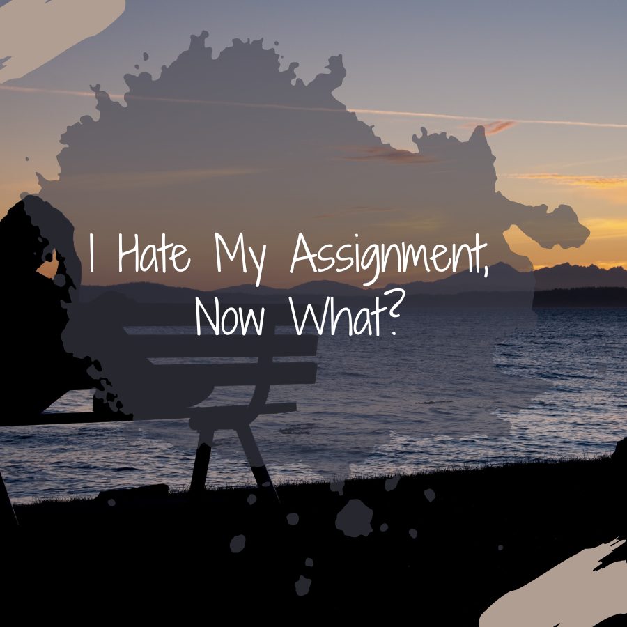 I Hate My Assignment, Now What?