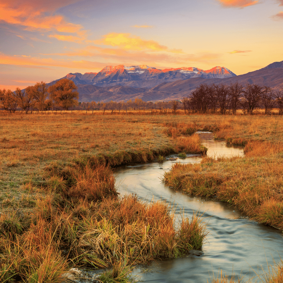 What Travel Nurse Practitioners Bring to Rural Areas