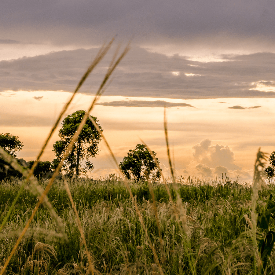Reasons You Should Take a Rural Assignment