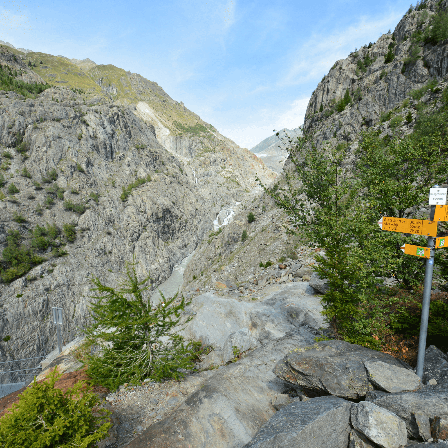 6 Ways to Know if You Are Working with the Right Travel Nurse Agency