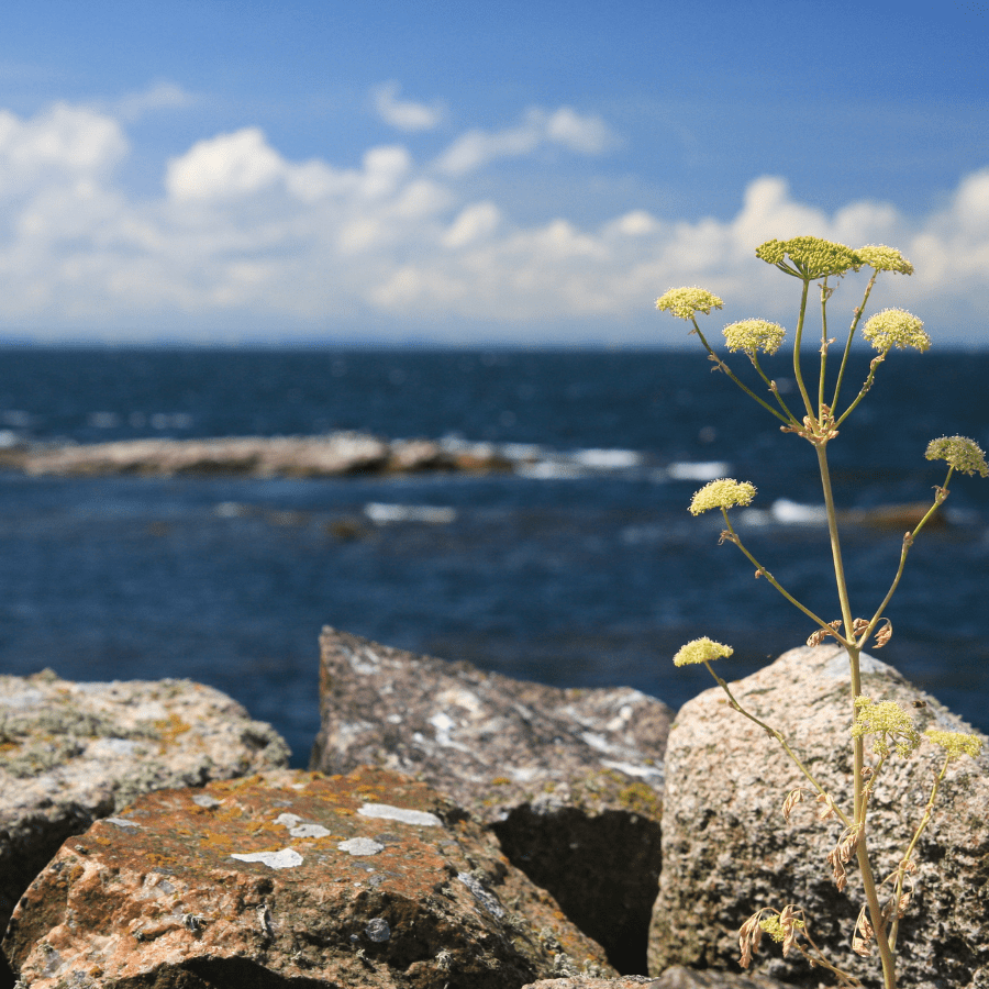 Surviving and Thriving: Tips for Travel Nurses