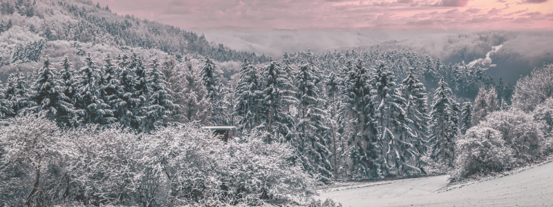 cold weather travel assignment