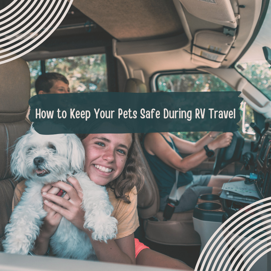 How to Keep Your Pets Safe During RV Travel