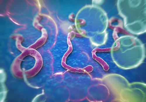 Volunteering In Liberia: Educating the Community on Ebola