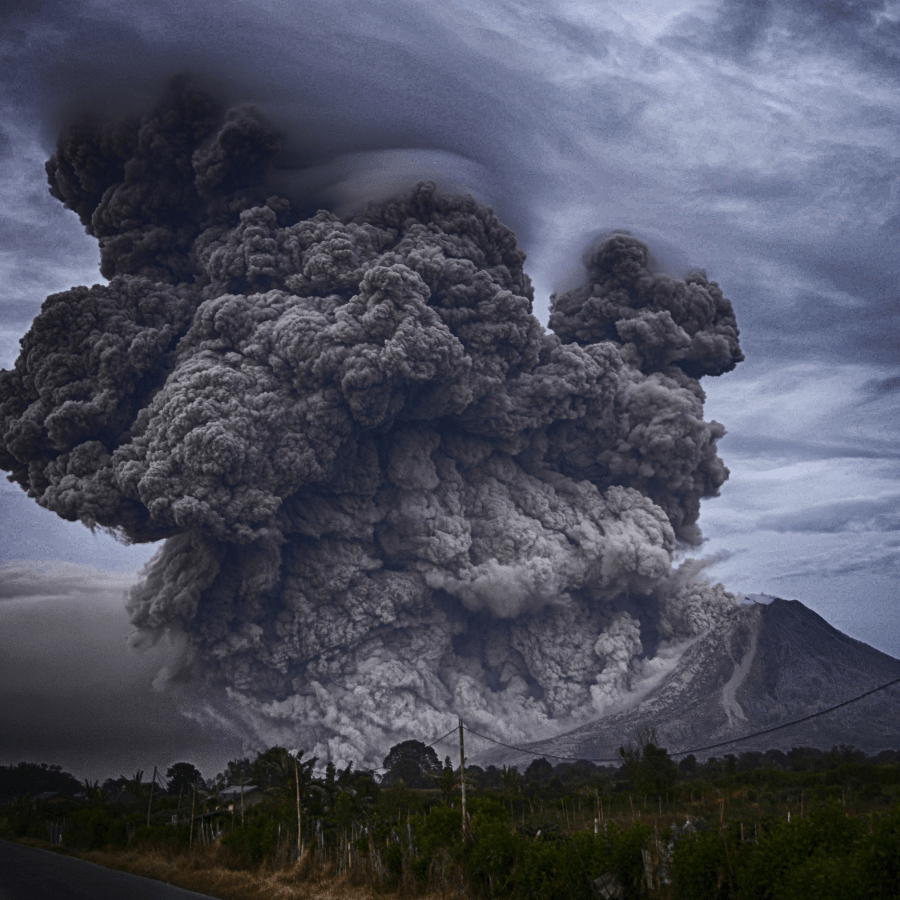 Disaster Volunteer Registry: By State