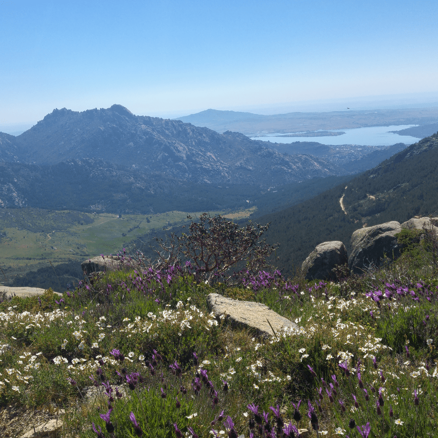 5 Top Destinations For Travel Nurses During Spring