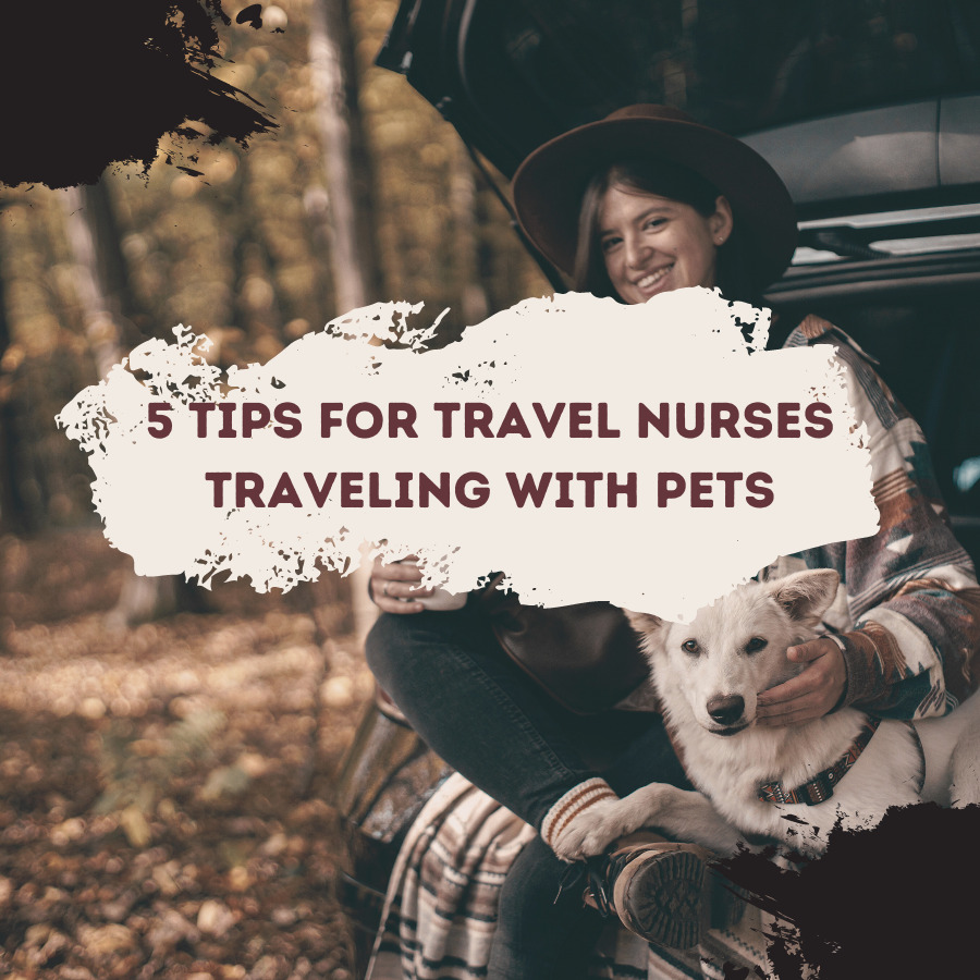 Tips for Travel Nurses Traveling with Pets