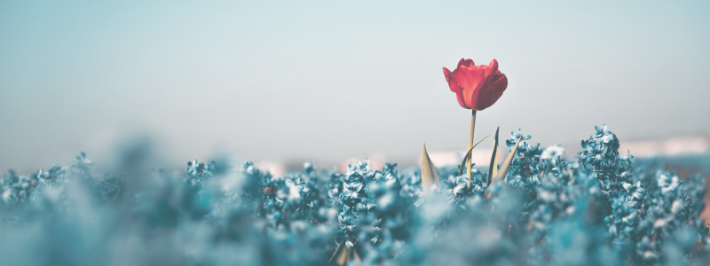 Stand Out as a Travel Nurse