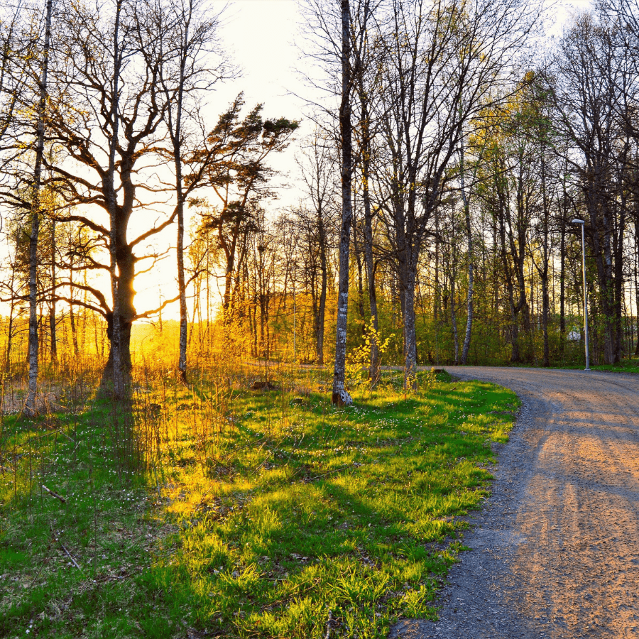 Spring Locations to Consider this Year