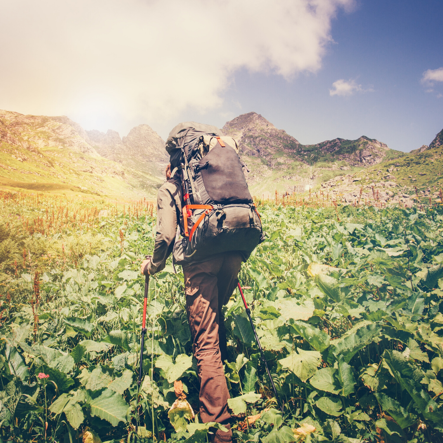 Travel Nursing, Industry Changes & What You Need to Know