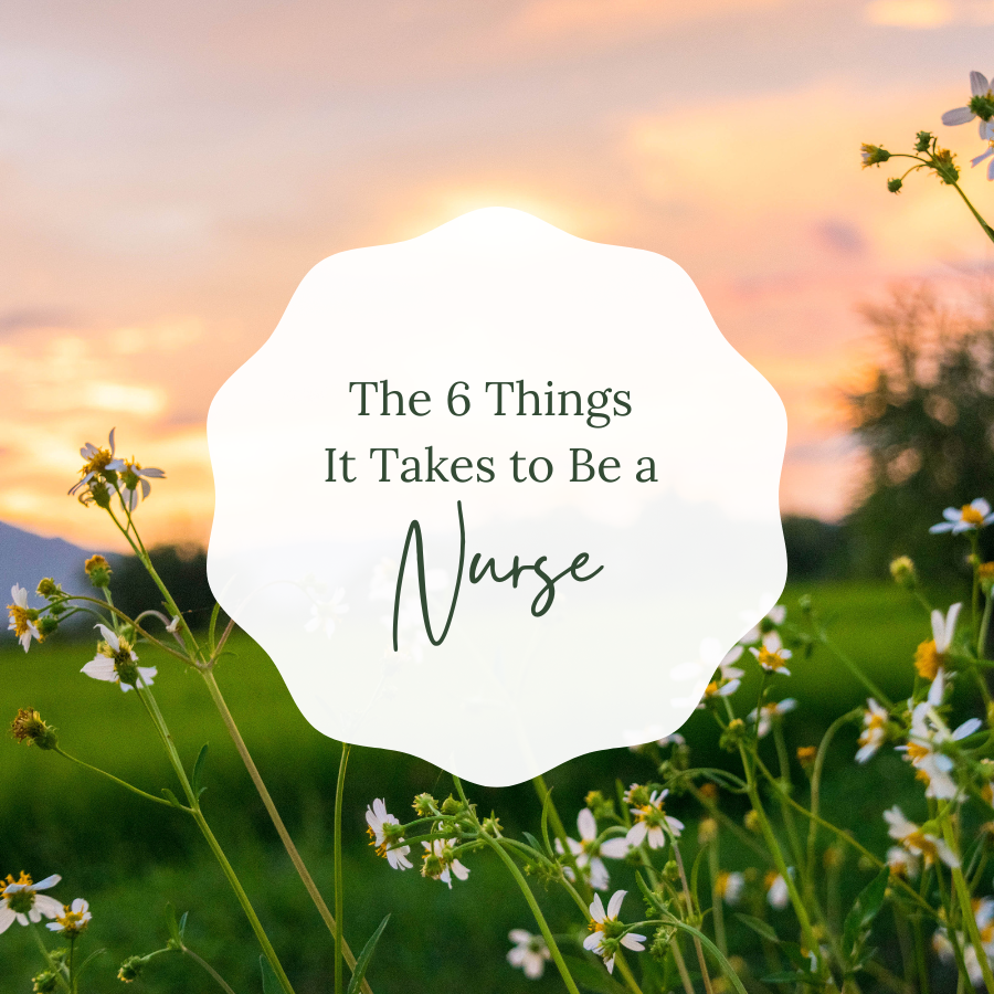 The 6 Things it Takes To Be a Nurse