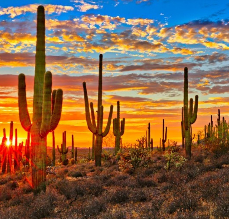 Top 6 Spring and Summer Vacation Destinations for Travel Nurses