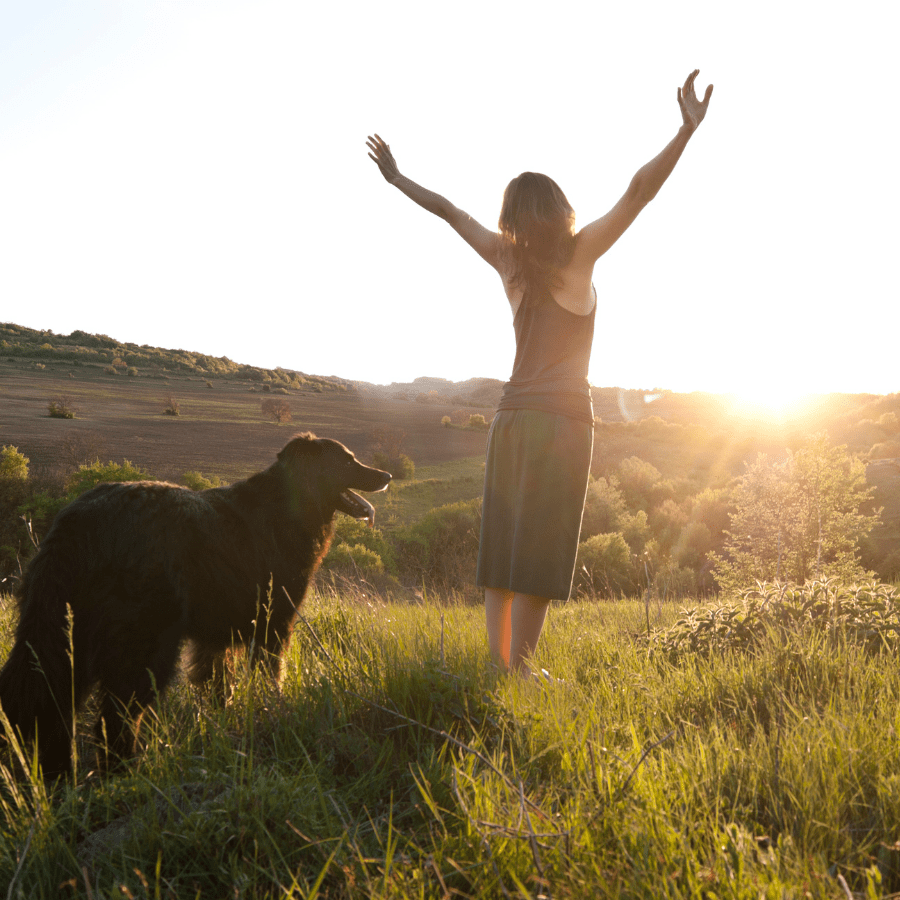 Five Ways to Help You Along Your Journey, and Find that "Attitude of Gratitude"