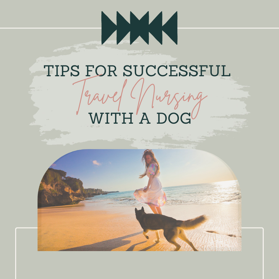 Tips for Successful Travel Nursing With a Dog