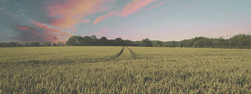 rural area