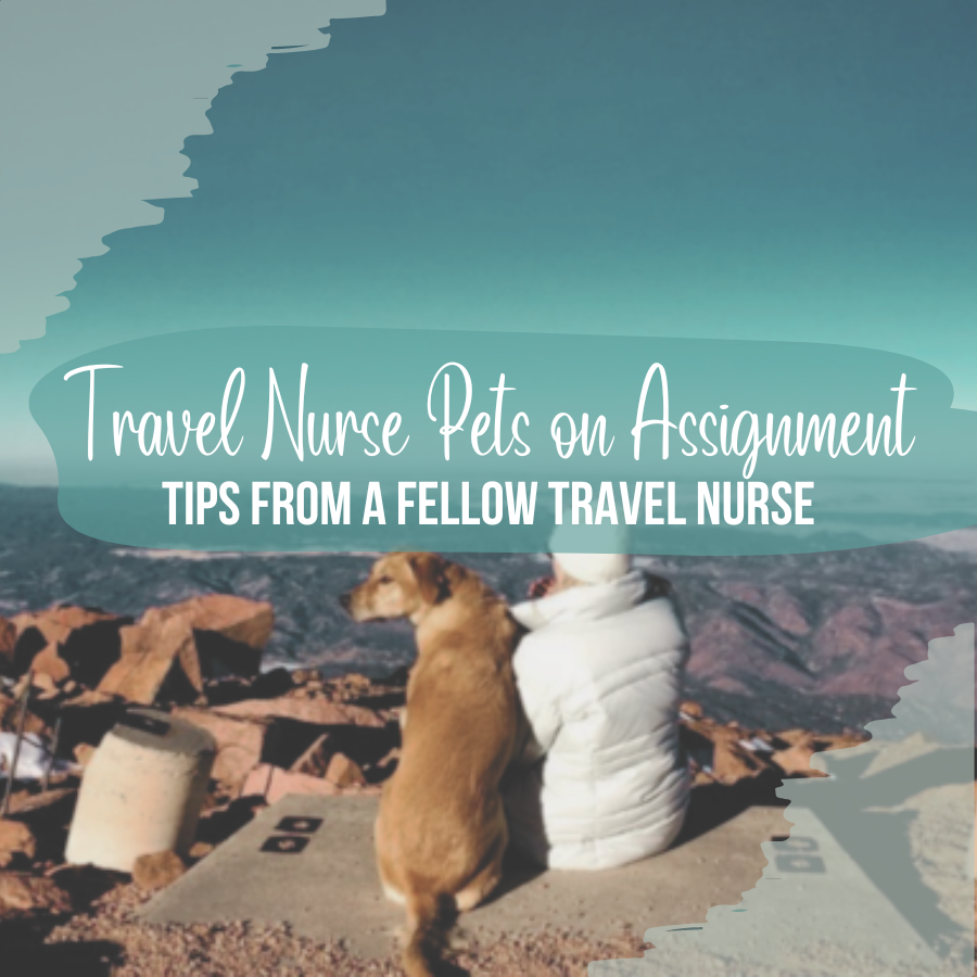 Travel Nursing With Pets